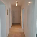 Lieblingsplatz * ميشيلشتادت